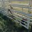 wilson-livestock-image-11