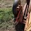for-most-livestock-chute-image-10