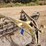 john-deere-640-image-6