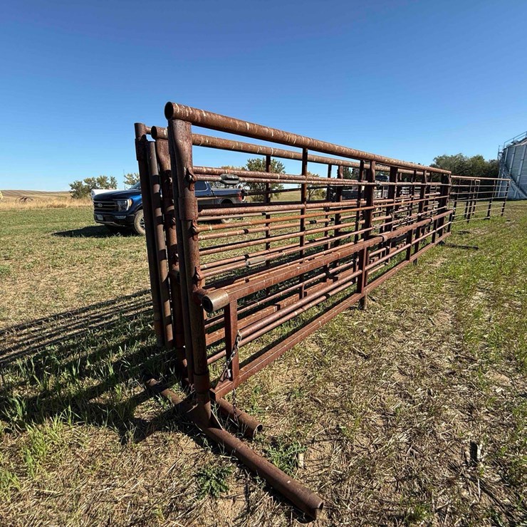 Freestanding Panel with Gate