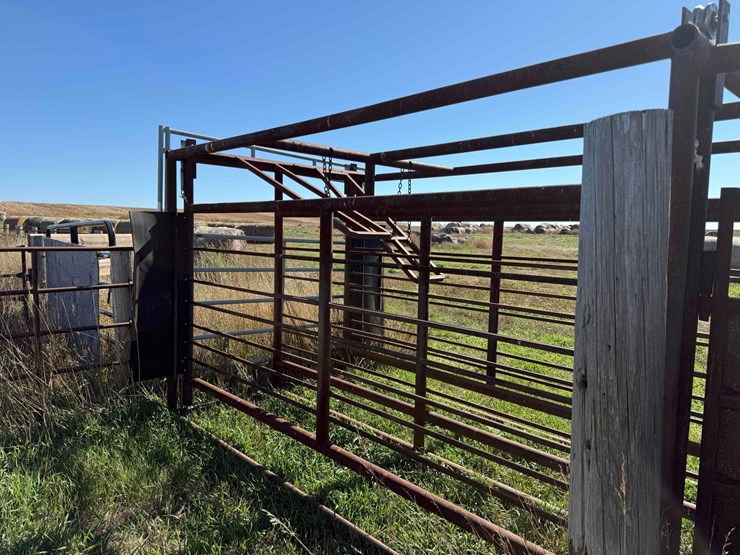 double-livestock-working-alley-image-4