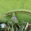 john-deere-lla-image-6