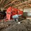 kuhn-knight-ra136-image-3