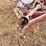 new-holland-350-image-12