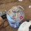ai-tanks-and-private-semen-collection-image-4