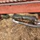 hesston-30-image-9