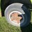 ford-f700-image-9
