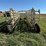 wilson-livestock-image-9