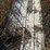 used-barn-tin-image-2