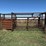 double-livestock-working-alley-image-1