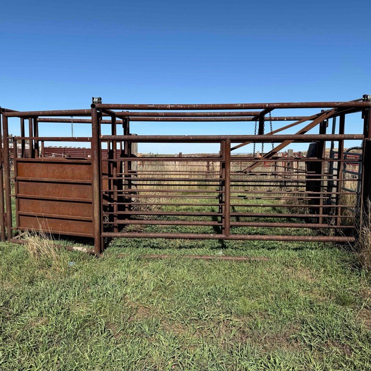 Double Livestock Working Alley