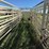 wilson-livestock-image-6