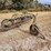 john-deere-640-image-2