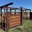 double-livestock-working-alley-image-2