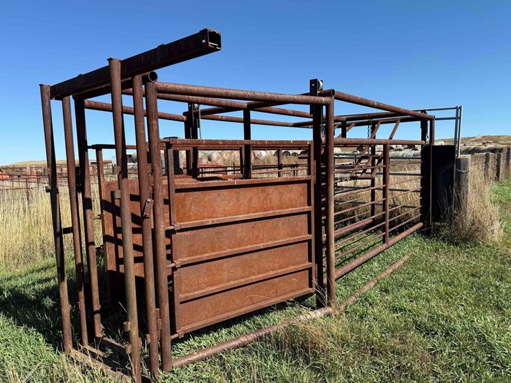 double-livestock-working-alley-image-2