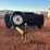chevrolet-trailer-image-2