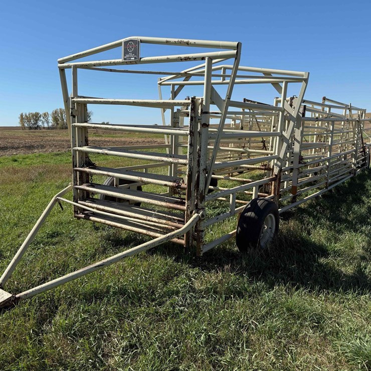 WILSON LIVESTOCK