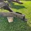 homemade-box-trailer-image-4