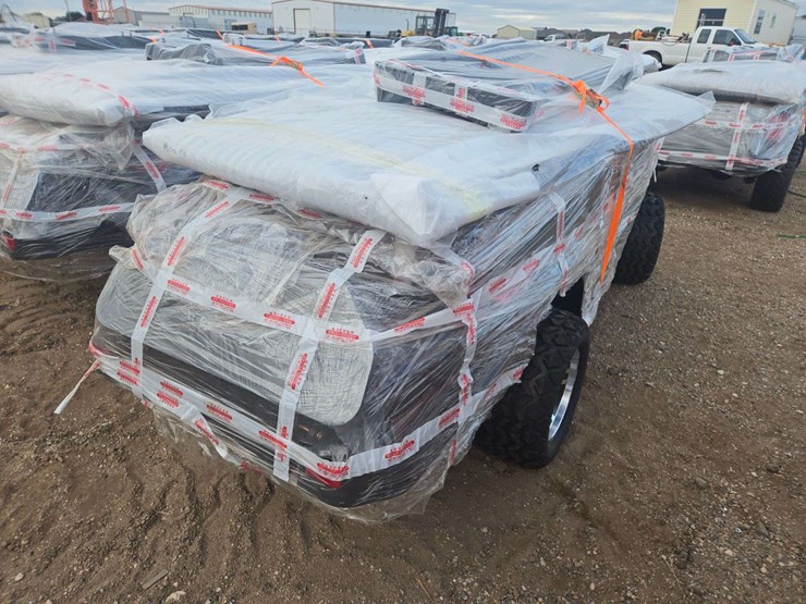 2025-sdlgc80-golf-cart-image-5