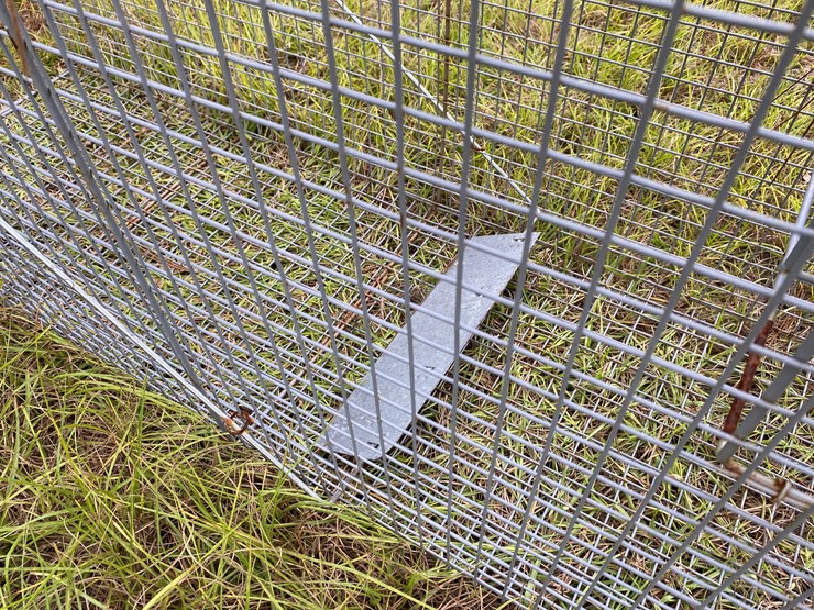 #87-•-#163-•-large-animal-trap-image-5