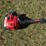 #98-•-#212-•-husqvarna-gas-powered-chain-saw;-poulanpro-gas-powered-hedge-trimmer;-troy-bilt-2-cycle-string-trimmer-image-10