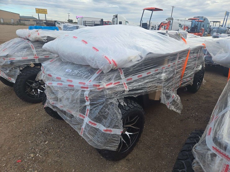 2025-sdlgc100-golf-cart-image-3