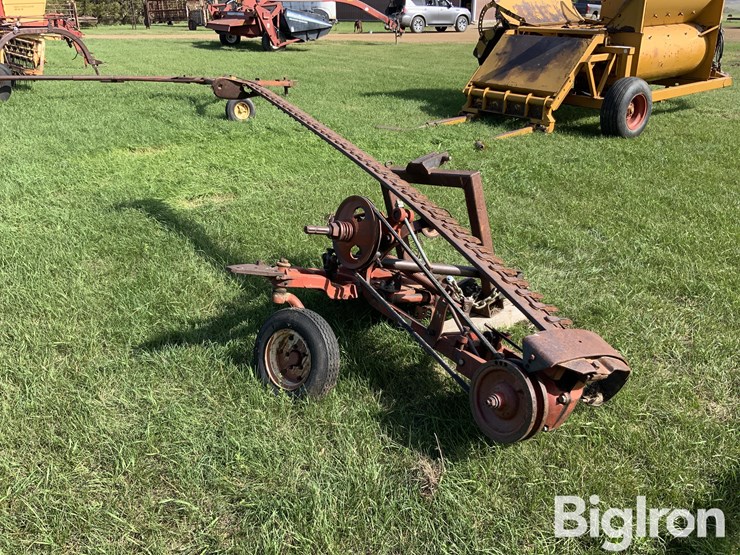 international-3-image-5