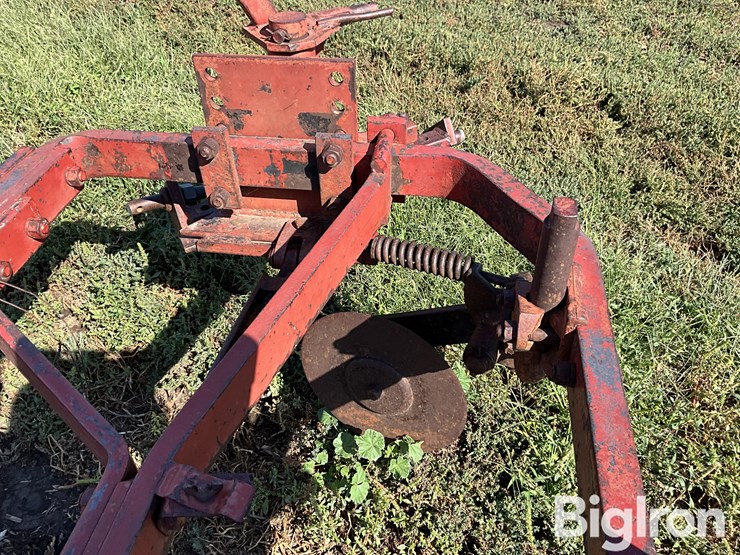 international-550-image-19