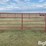 behlen-county/countyline-horse-training-pen-image-13