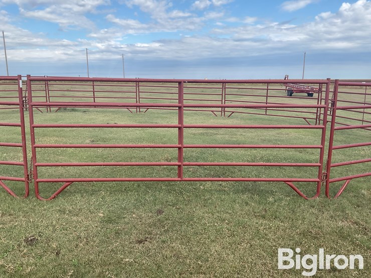 behlen-county/countyline-horse-training-pen-image-13