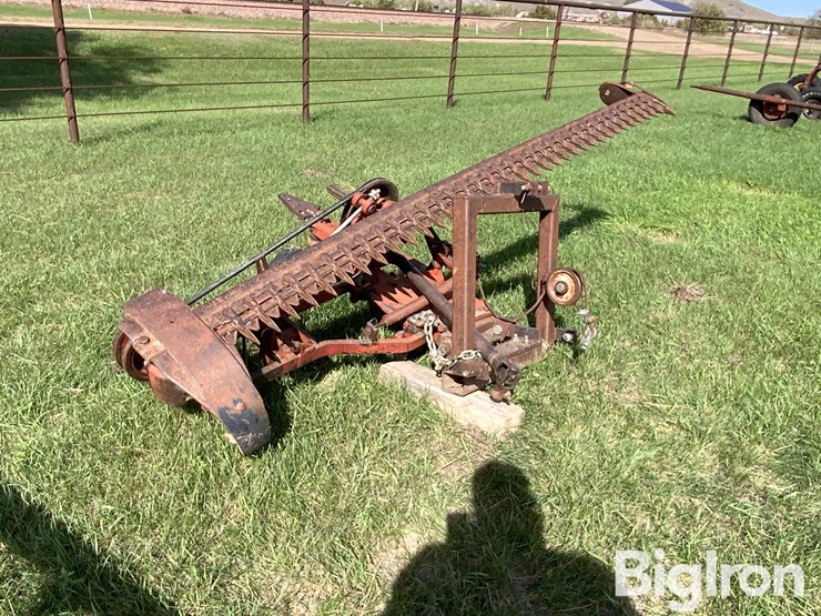 international-3-image-3