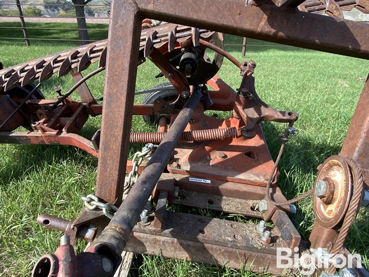 international-3-image-11