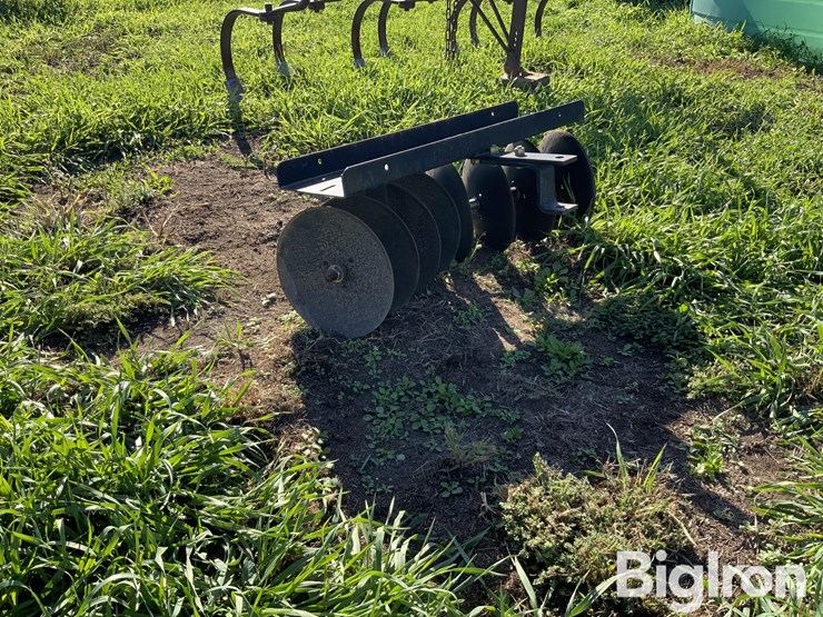 small-yard-disk-image-3