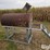 300-gallon-waste-oil-tank-w/stand-image-2