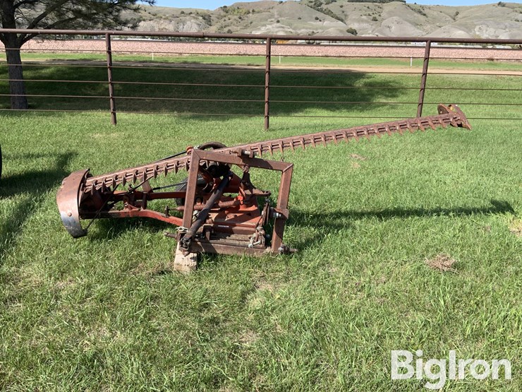 international-3-image-2