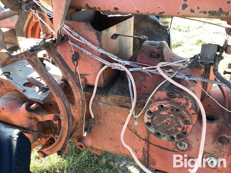 international-m-image-19