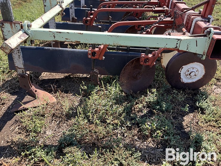 international-170-image-19