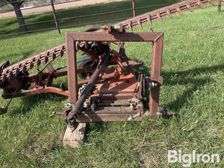 international-3-image-9