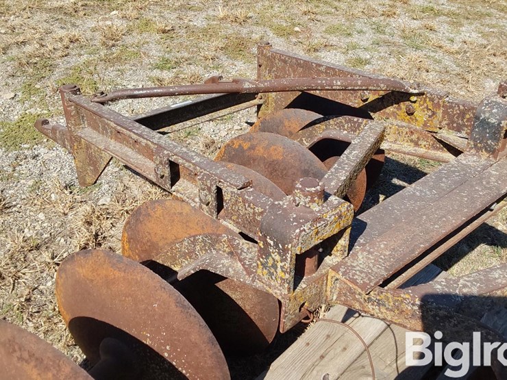 international-5-image-16