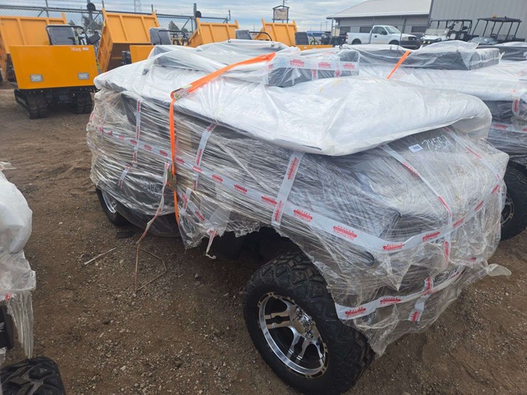 2025-sdlgc80-golf-cart-image-4