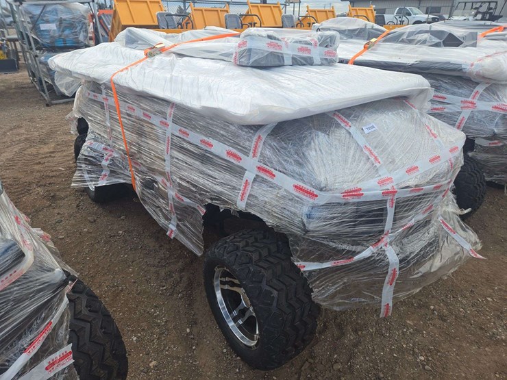 2025-sdlgc80-golf-cart-image-4