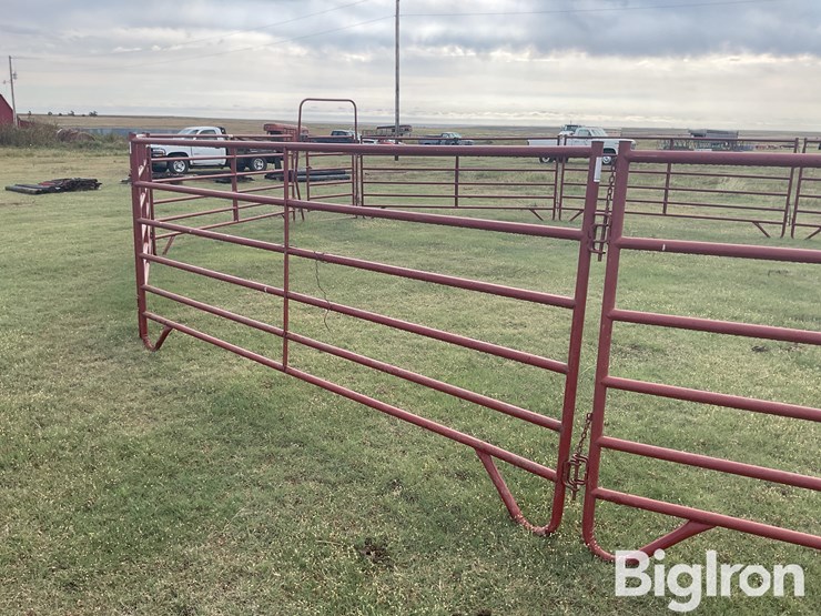 behlen-county/countyline-horse-training-pen-image-19