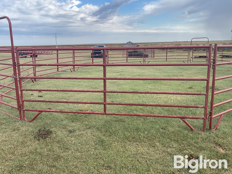 behlen-county/countyline-horse-training-pen-image-15