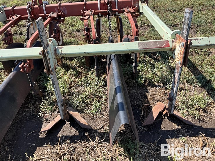 international-170-image-18