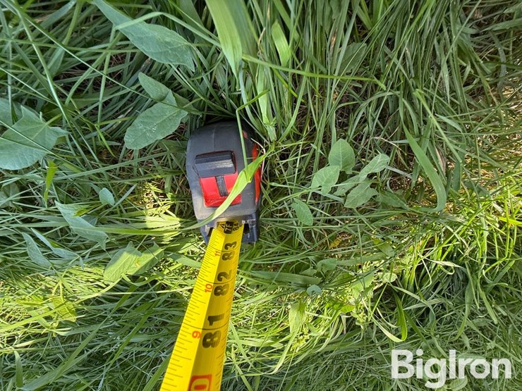 custom-built-image-17