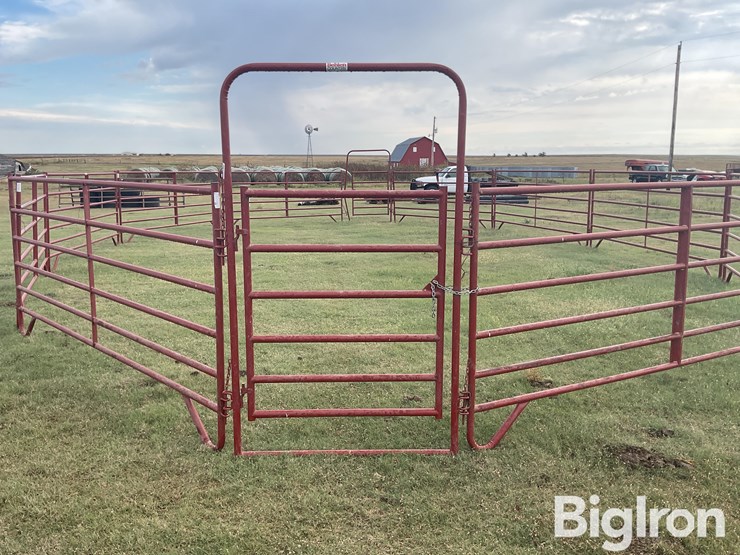 behlen-county/countyline-horse-training-pen-image-16