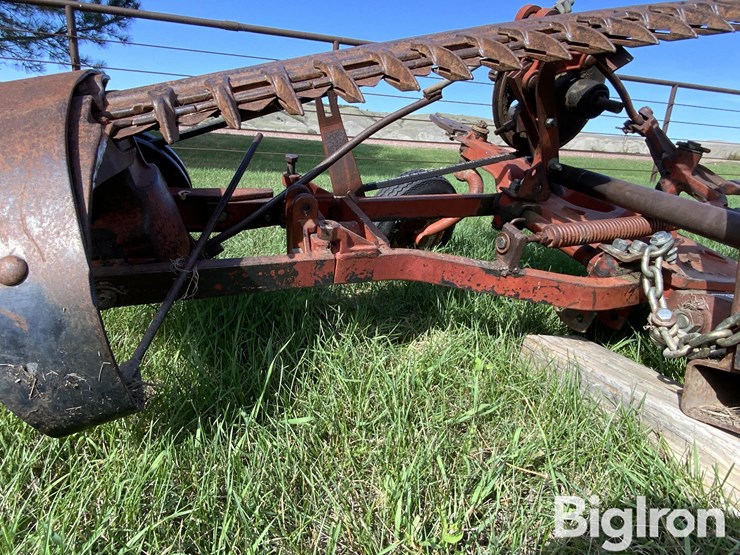 international-3-image-12