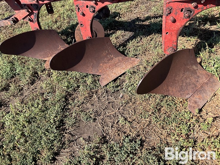 international-550-image-18