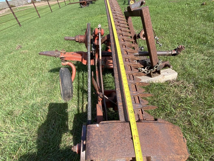 international-3-image-15