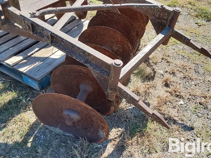 international-5-image-10